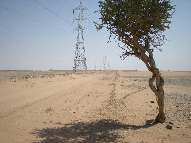 GEM SEEROO Projects Images